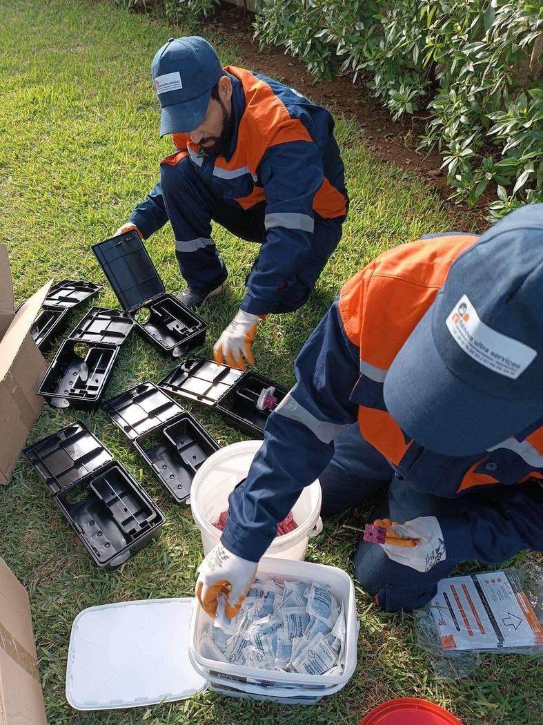 Dératisation — Rénova Ultra Services à Casablanca : Montage des postes sécurisés avant pose sur site industriel.