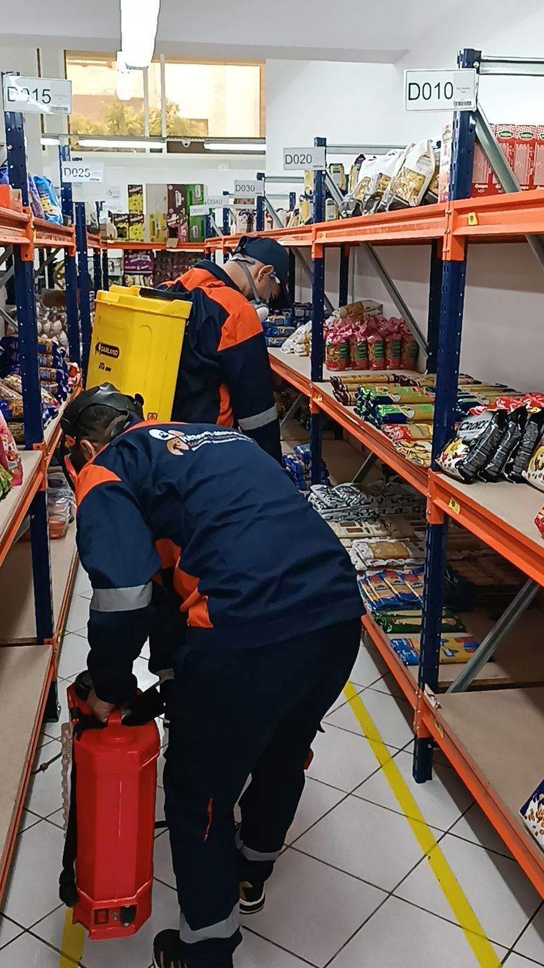 Désinsectisation — Rénova Ultra Services à Casablanca : Traitement d'une surface de vente hors exploitation.